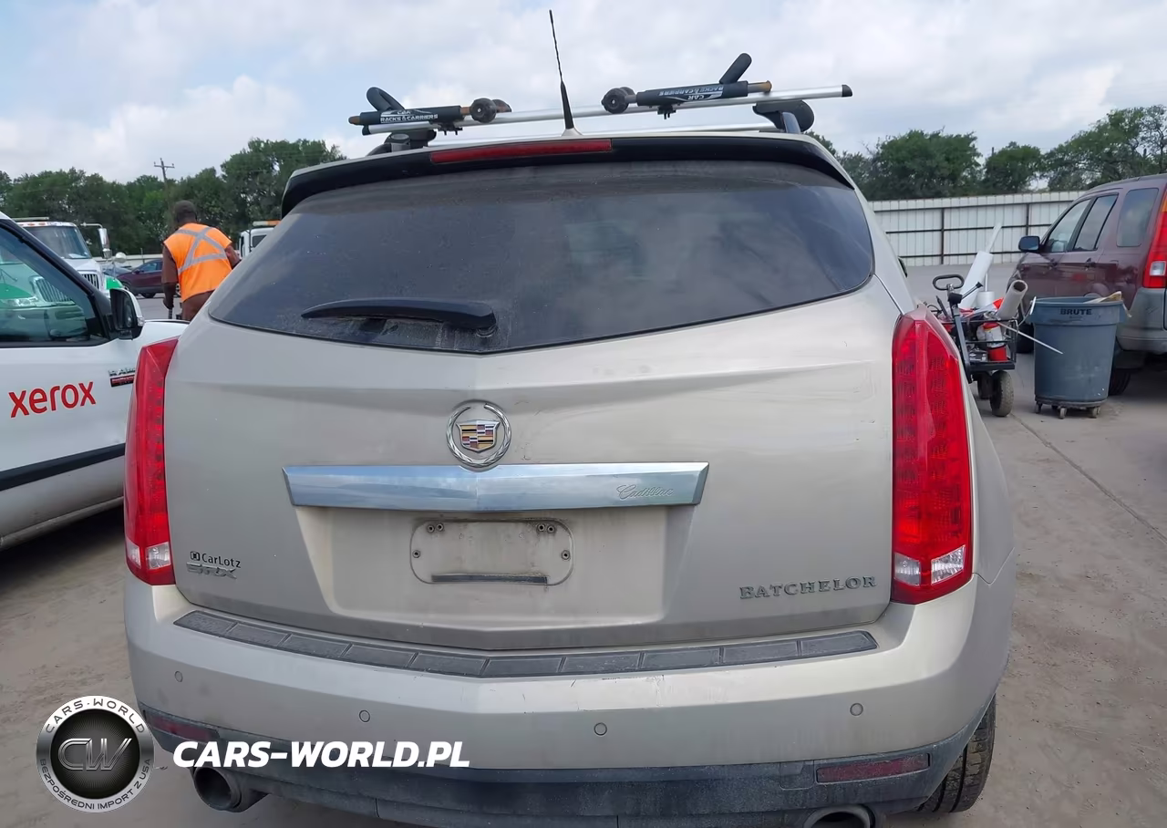 2010 Cadillac Srx Luxury Collection VIN:3GYFNAEY1AS549677 - 16