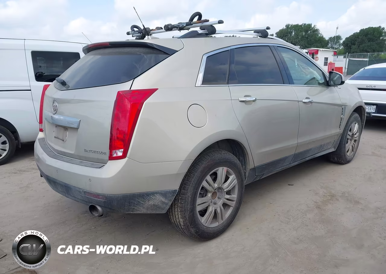 2010 Cadillac Srx Luxury Collection VIN:3GYFNAEY1AS549677 - 4