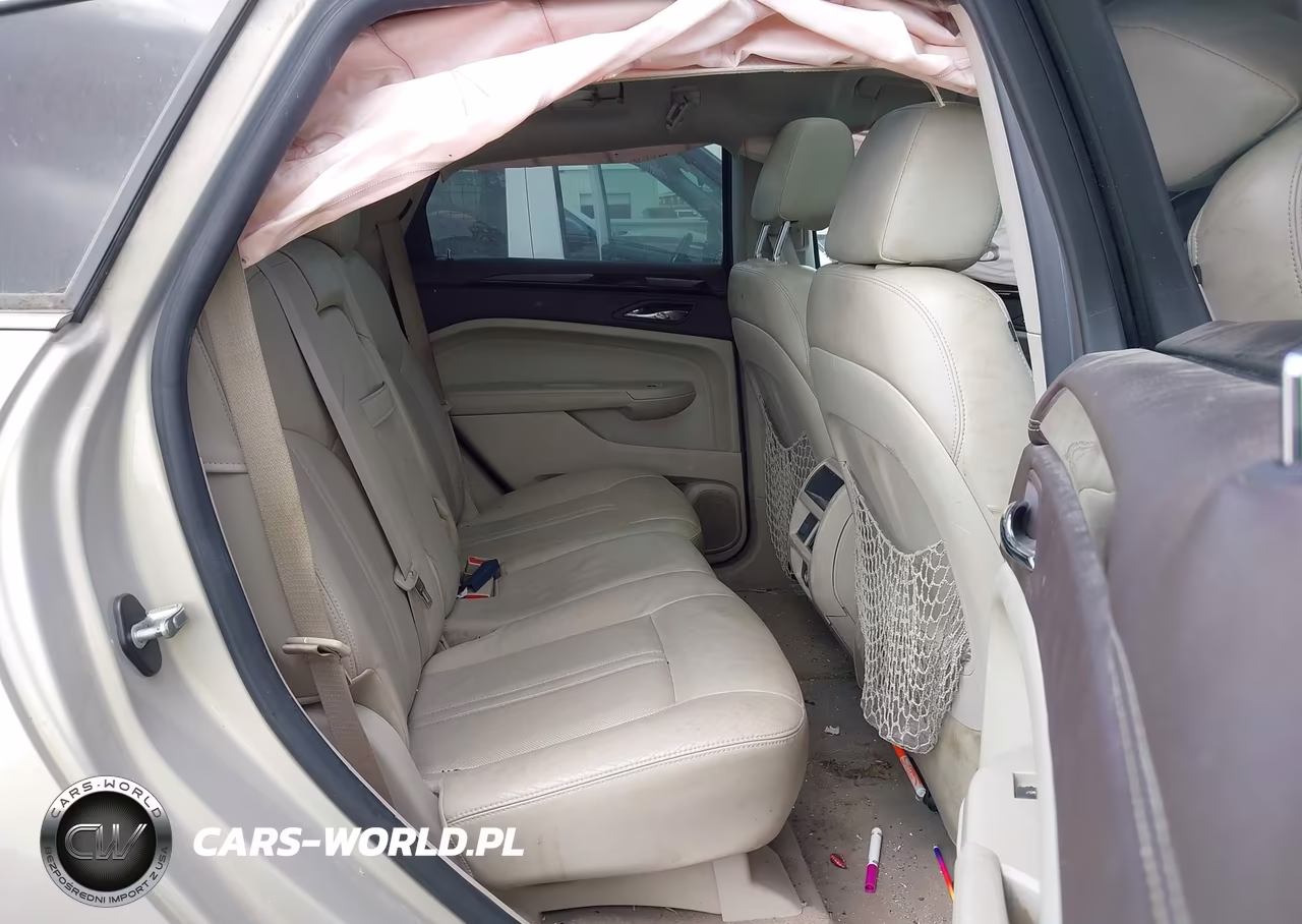 2010 Cadillac Srx Luxury Collection VIN:3GYFNAEY1AS549677 - 8