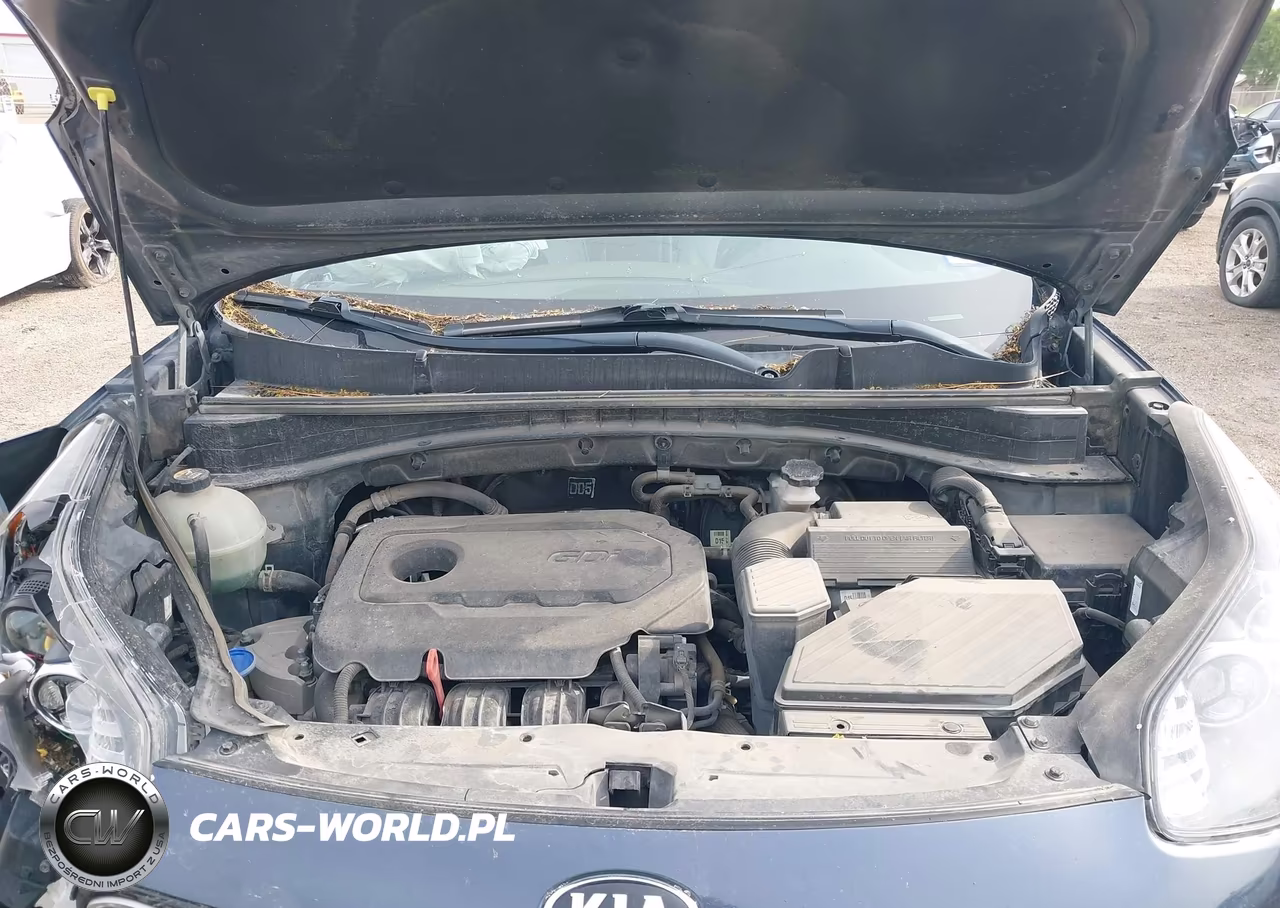 2019 Kia Sportage Ex VIN:KNDPN3AC9K7539169 - 10
