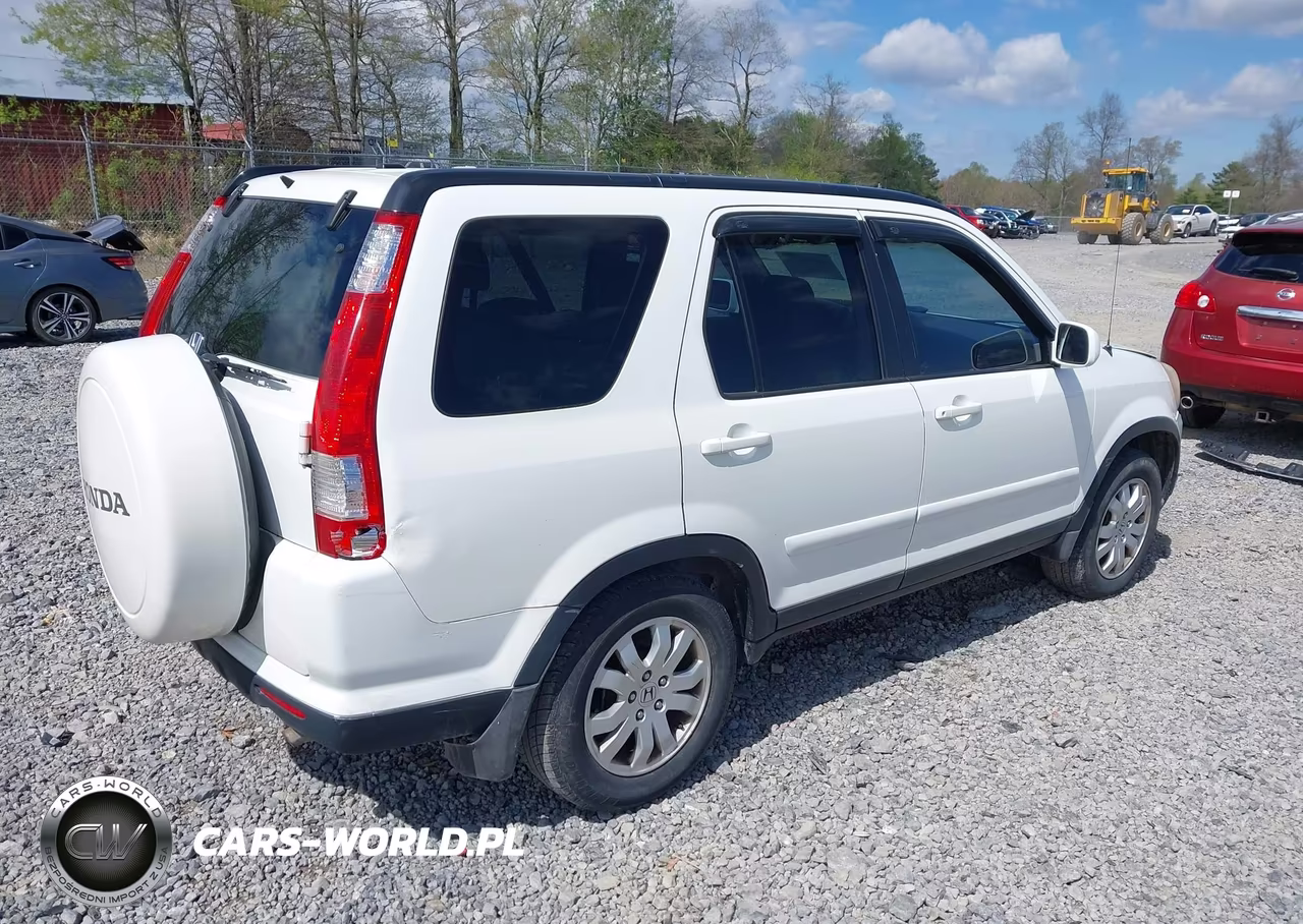 2006 Honda Cr-V Se VIN:SHSRD78946U414554 - 4