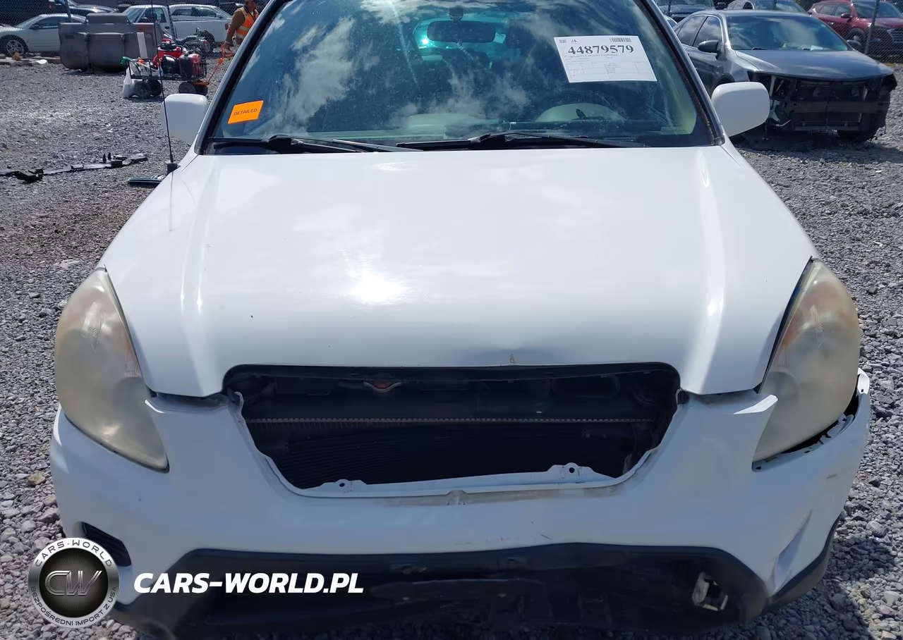 2006 Honda Cr-V Se VIN:SHSRD78946U414554 - 6