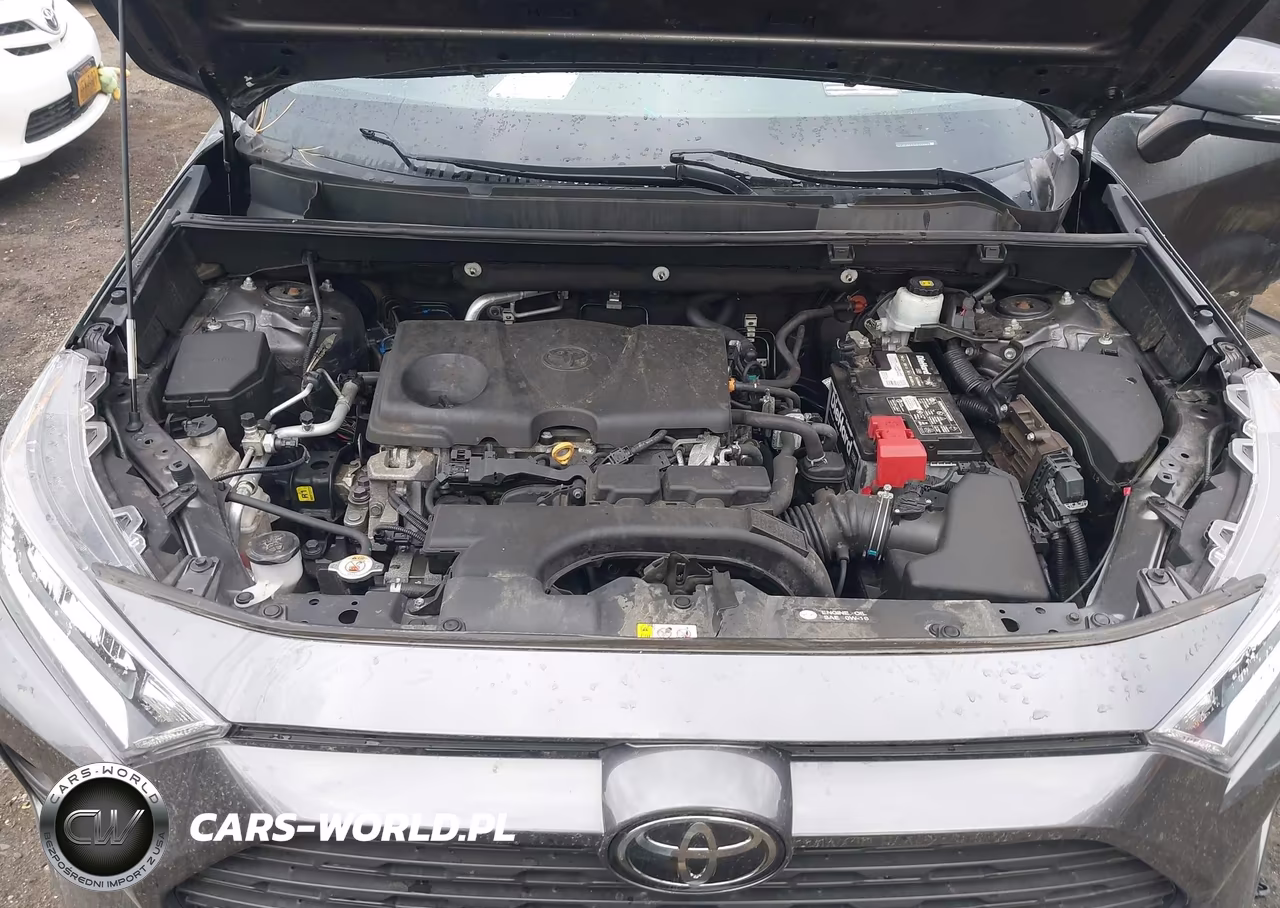 2020 Toyota Rav4 Xle VIN:2T3P1RFV1LC121561 - 10