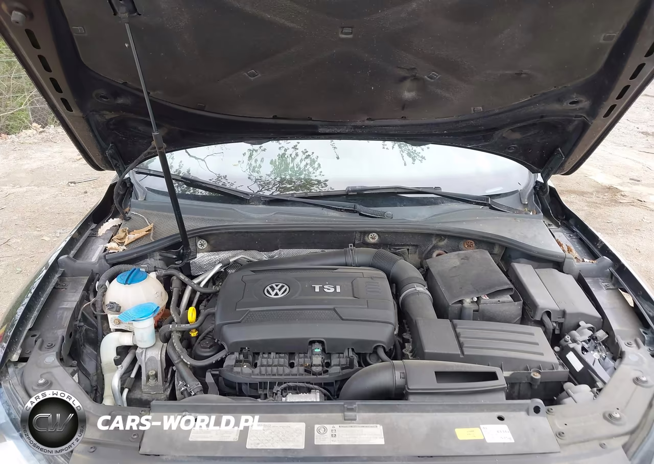 2014 Volkswagen Passat 1.8T Se VIN:1VWBS7A31EC042250 - 10