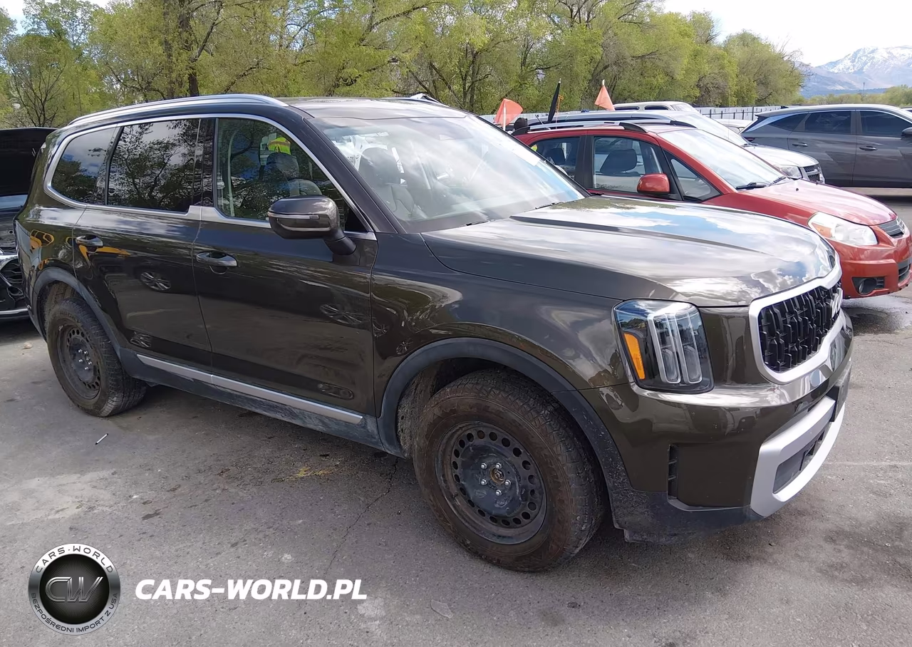 2025 Kia Telluride Ex – zdjęcie 1 z 16