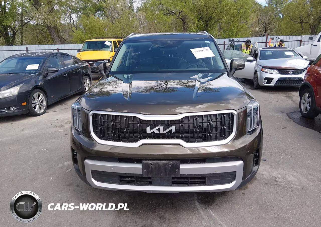 2025 Kia Telluride Ex VIN:5XYP3DGC0SG637464 - 12