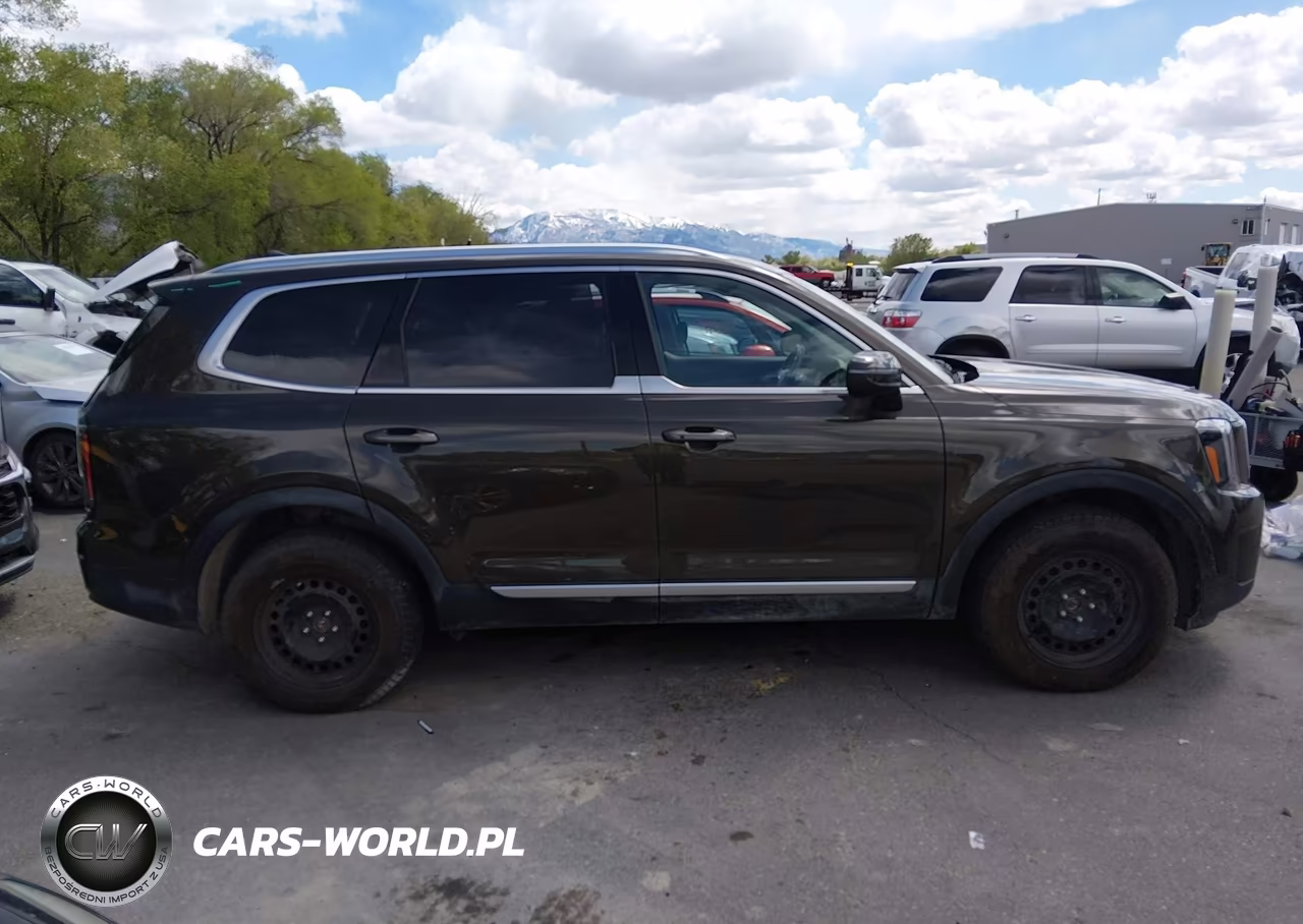 2025 Kia Telluride Ex VIN:5XYP3DGC0SG637464 - 13