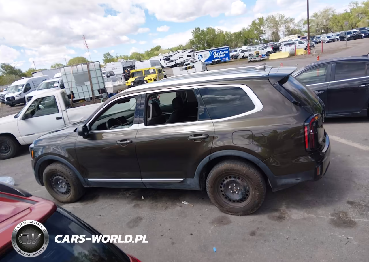 2025 Kia Telluride Ex VIN:5XYP3DGC0SG637464 - 14