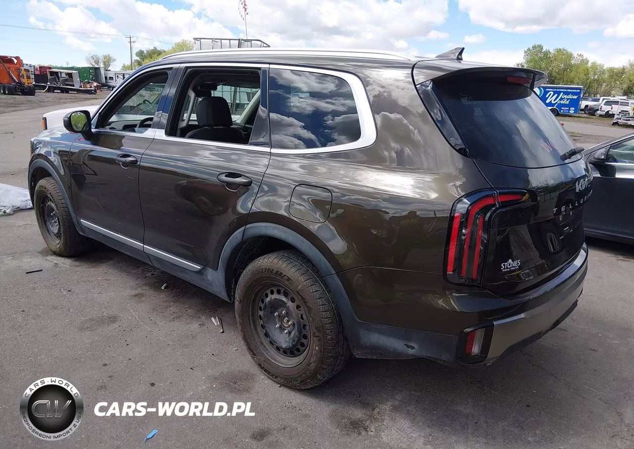 2025 Kia Telluride Ex VIN:5XYP3DGC0SG637464 - 3