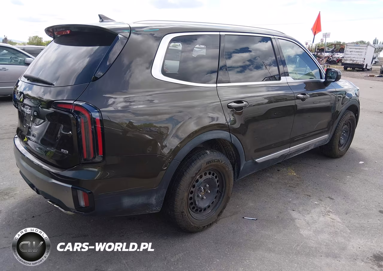 2025 Kia Telluride Ex VIN:5XYP3DGC0SG637464 - 4