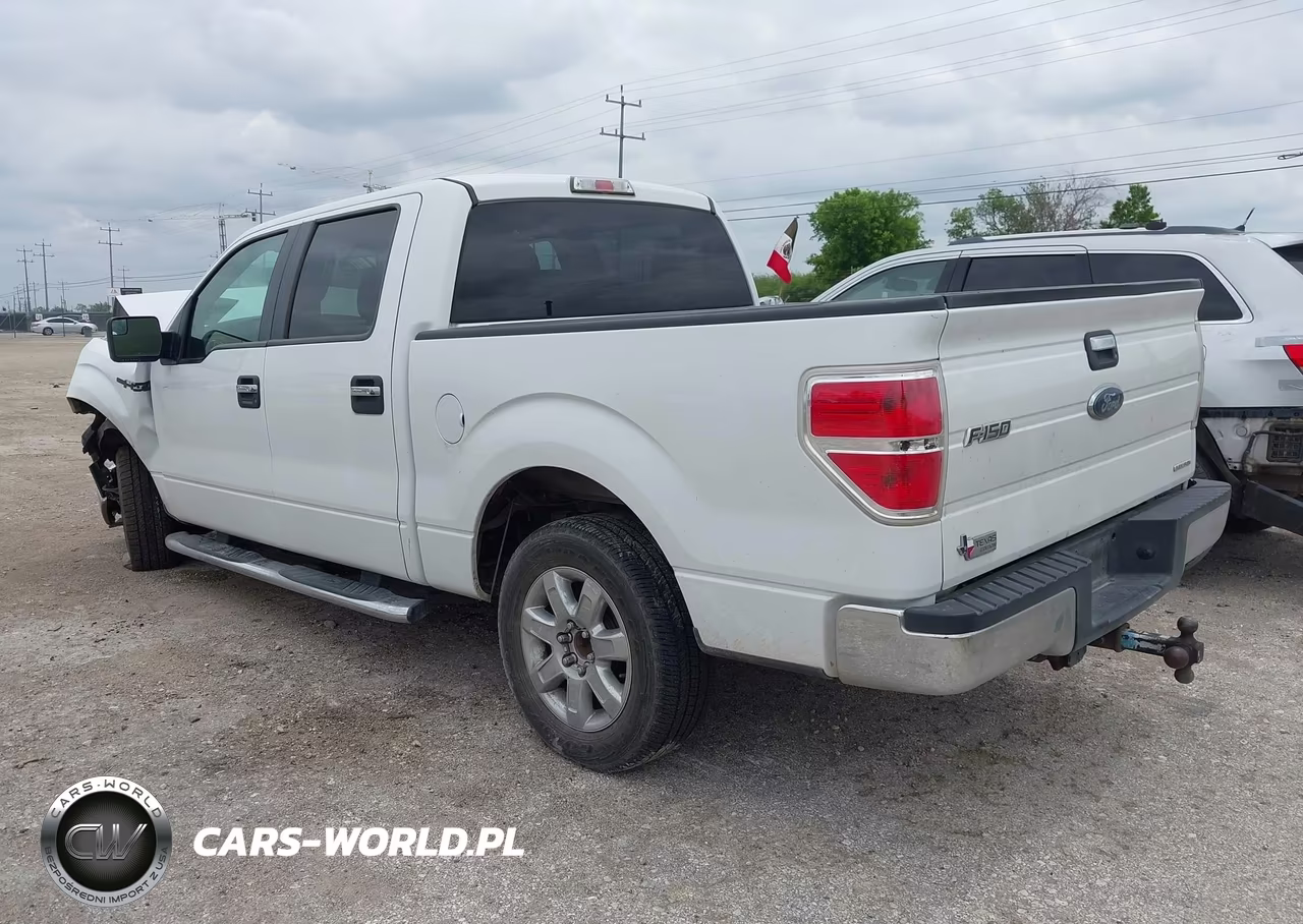 2013 Ford F-150 Xlt VIN:1FTEW1CM2DKF18677 - 3