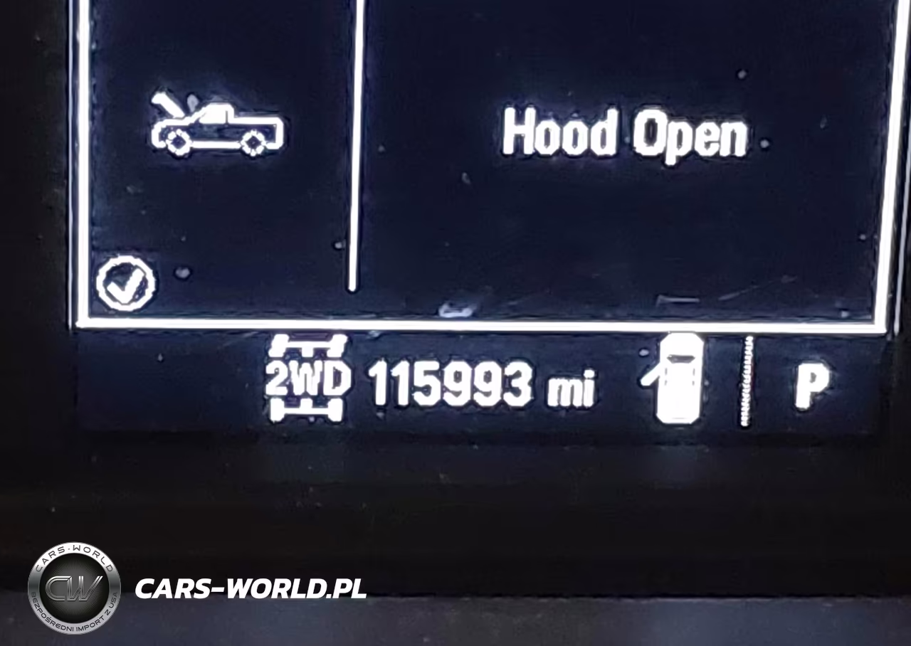 2019 Chevrolet Silverado 1500 Custom Trail Boss VIN:3GCPYCEF9KG158017 - 16