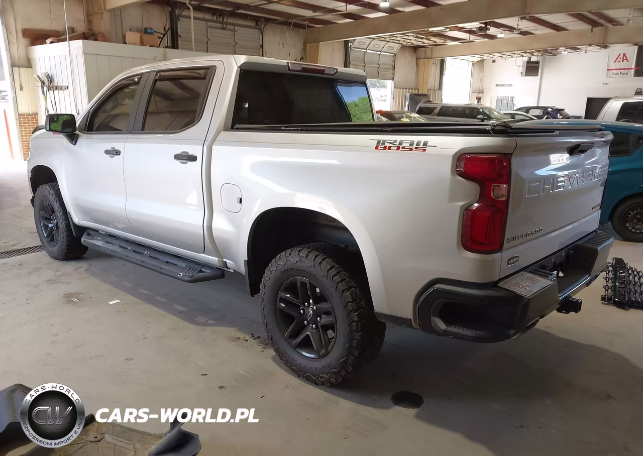 2019 Chevrolet Silverado 1500 Custom Trail Boss VIN:3GCPYCEF9KG158017 - 3
