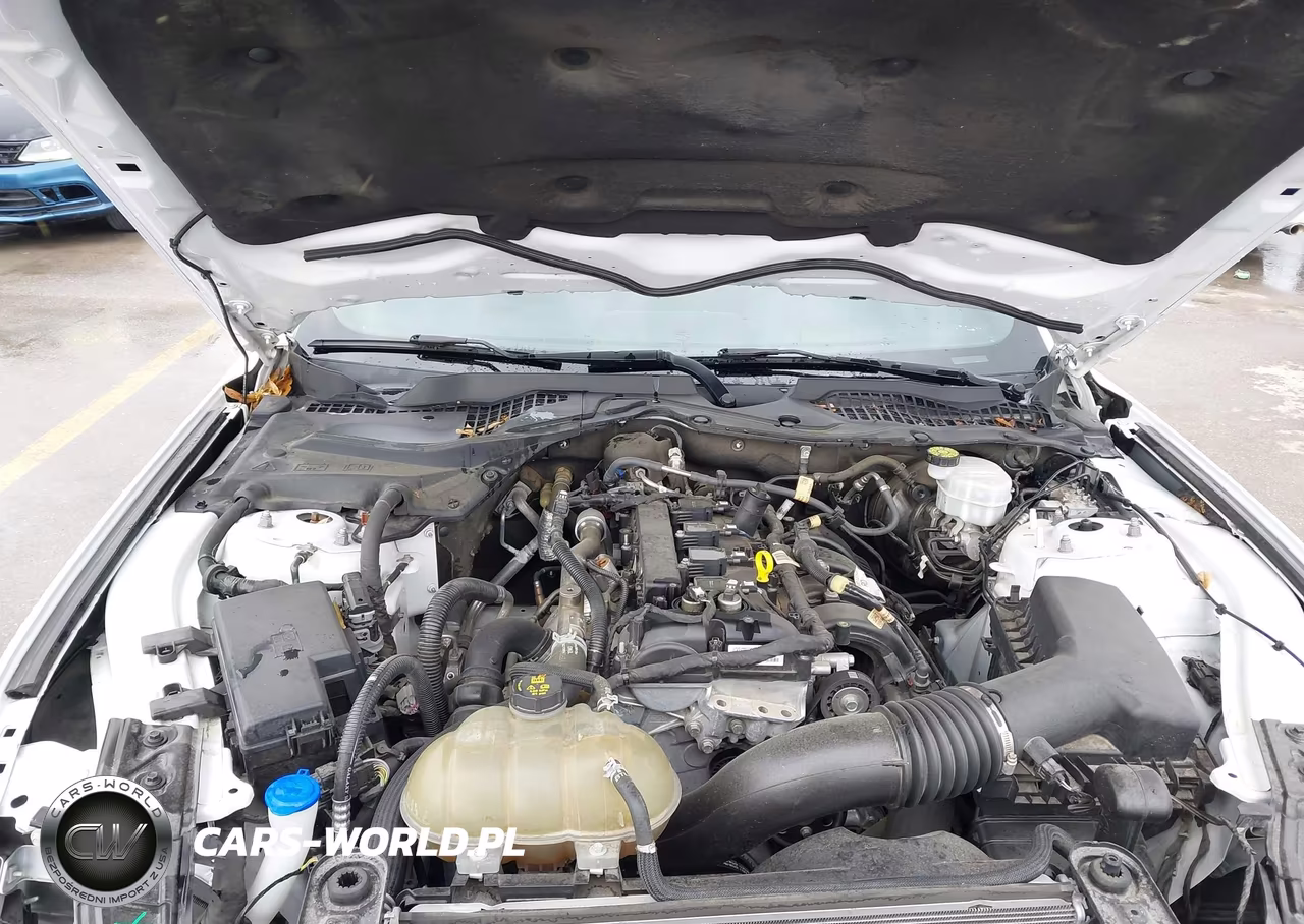 2021 Ford Mustang Ecoboost Fastback VIN:1FA6P8TH1M5137565 - 10