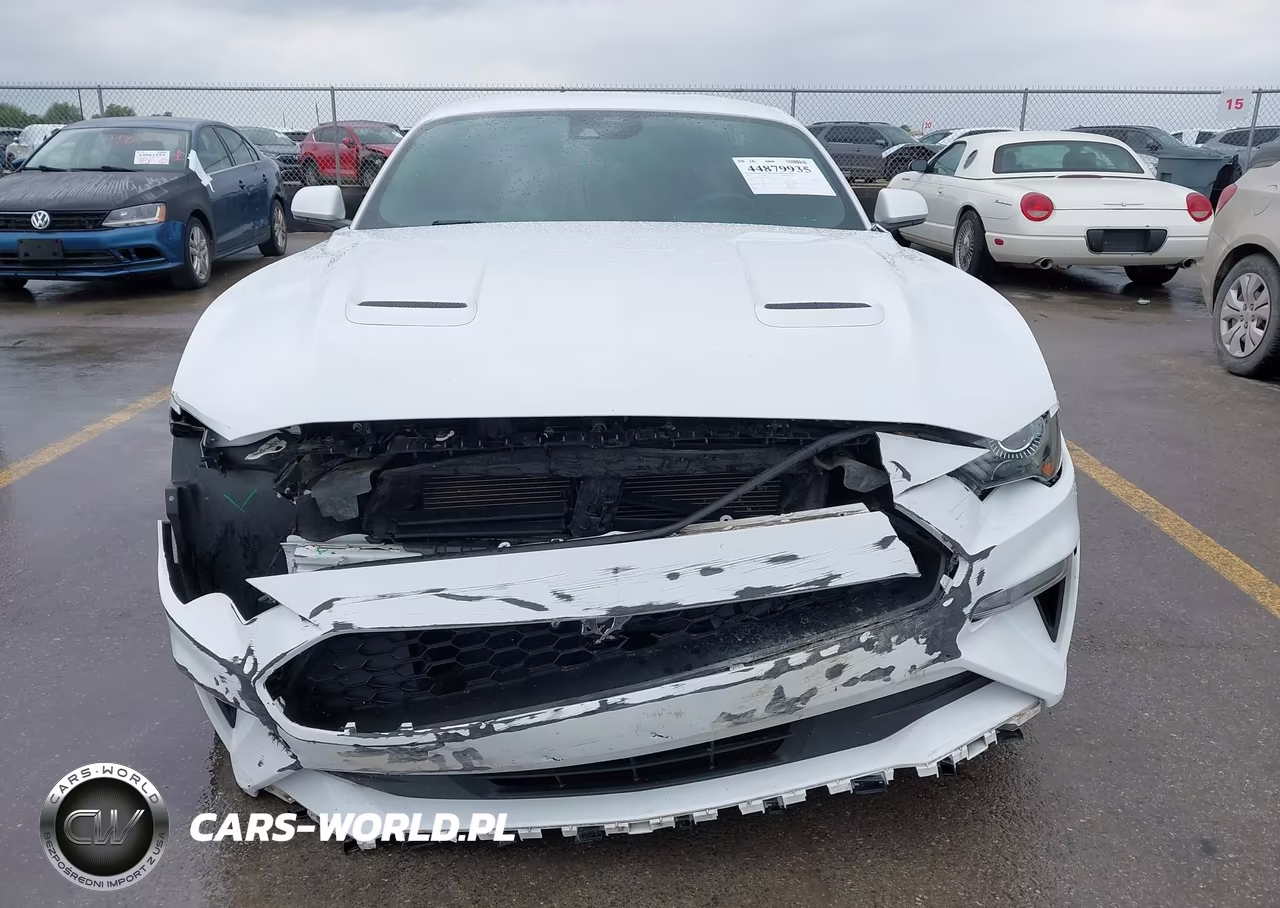 2021 Ford Mustang Ecoboost Fastback VIN:1FA6P8TH1M5137565 - 13