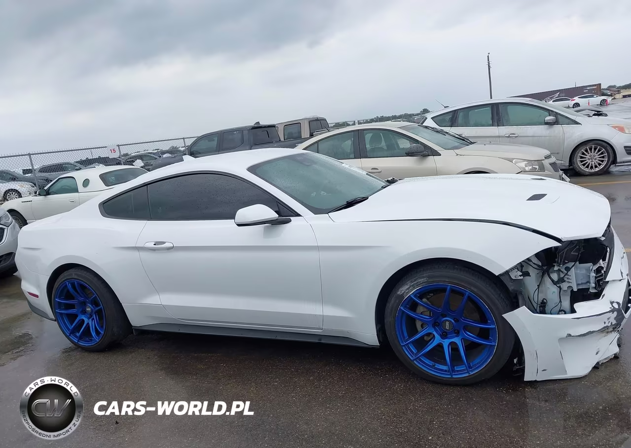 2021 Ford Mustang Ecoboost Fastback VIN:1FA6P8TH1M5137565 - 14