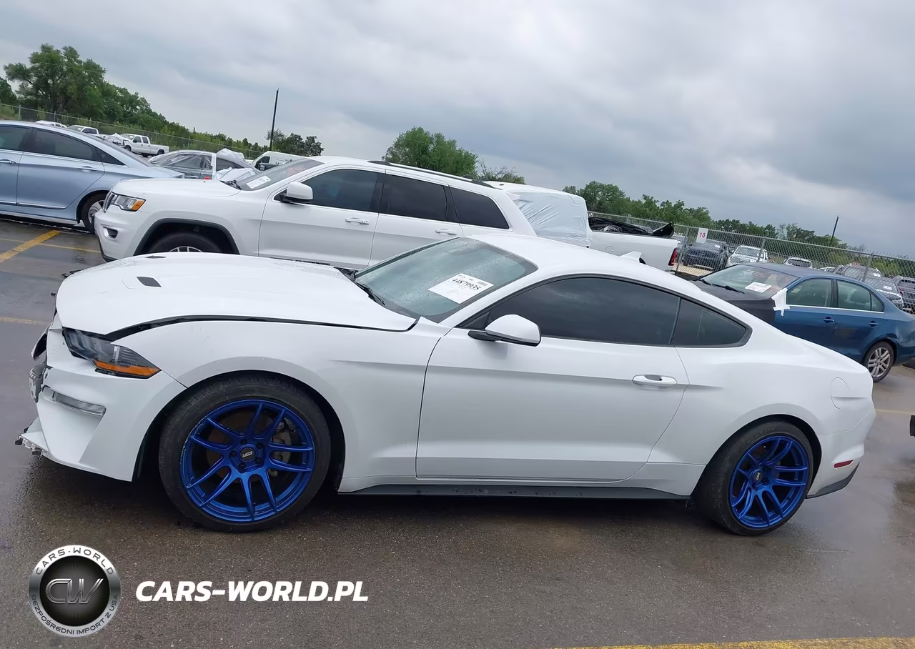 2021 Ford Mustang Ecoboost Fastback VIN:1FA6P8TH1M5137565 - 15