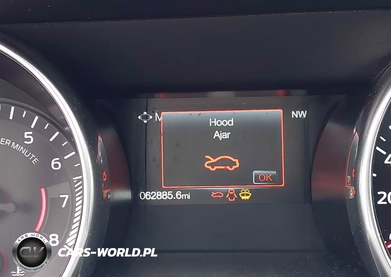 2021 Ford Mustang Ecoboost Fastback VIN:1FA6P8TH1M5137565 - 16