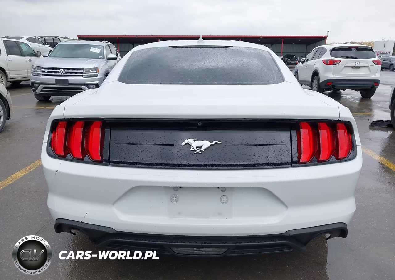2021 Ford Mustang Ecoboost Fastback VIN:1FA6P8TH1M5137565 - 17