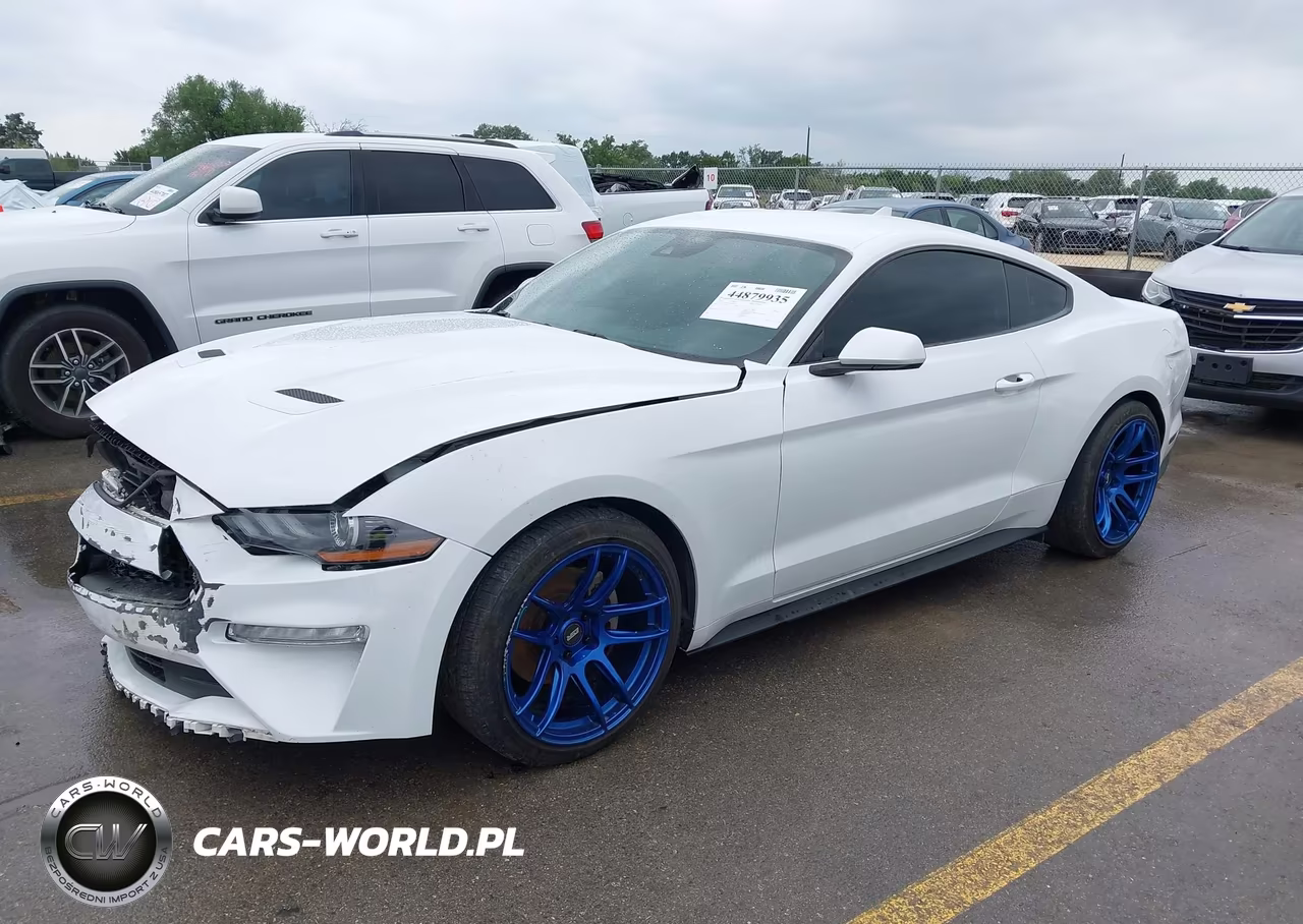 2021 Ford Mustang Ecoboost Fastback VIN:1FA6P8TH1M5137565 - 2