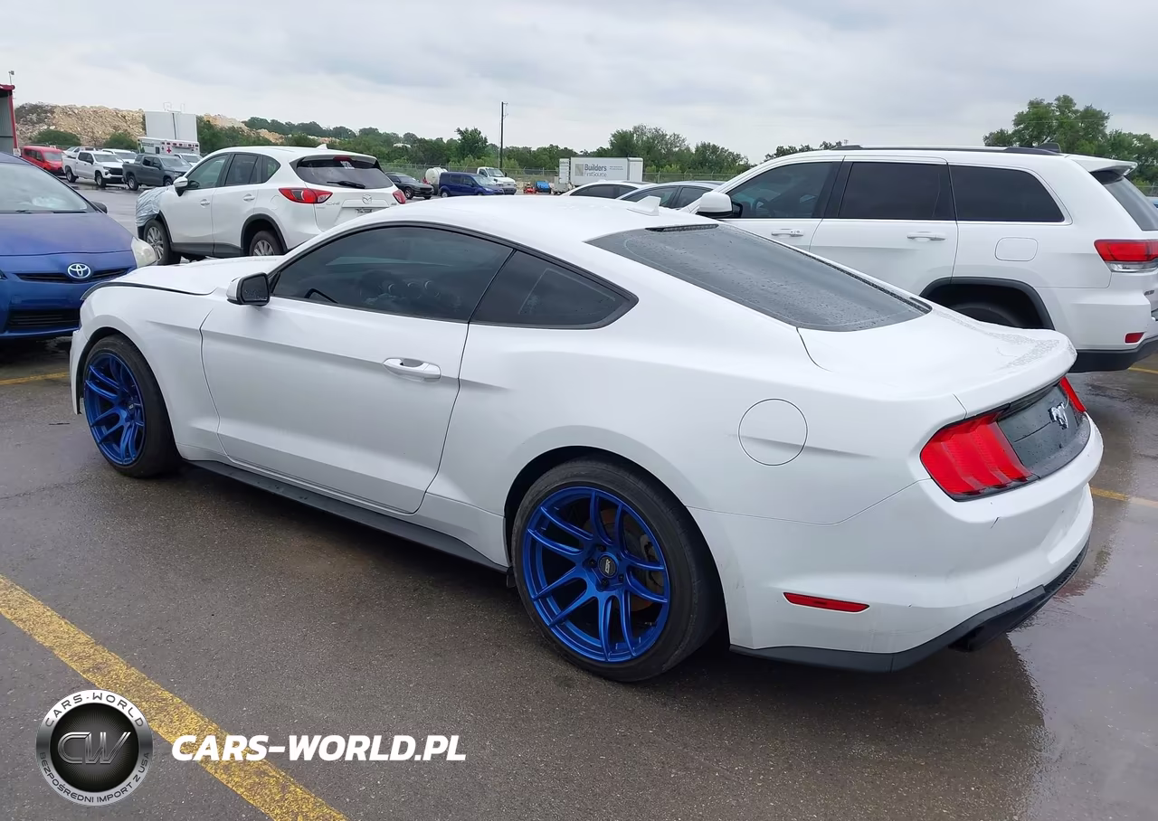 2021 Ford Mustang Ecoboost Fastback VIN:1FA6P8TH1M5137565 - 3