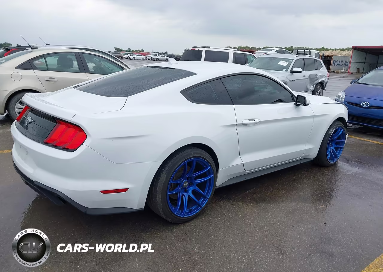 2021 Ford Mustang Ecoboost Fastback VIN:1FA6P8TH1M5137565 - 4
