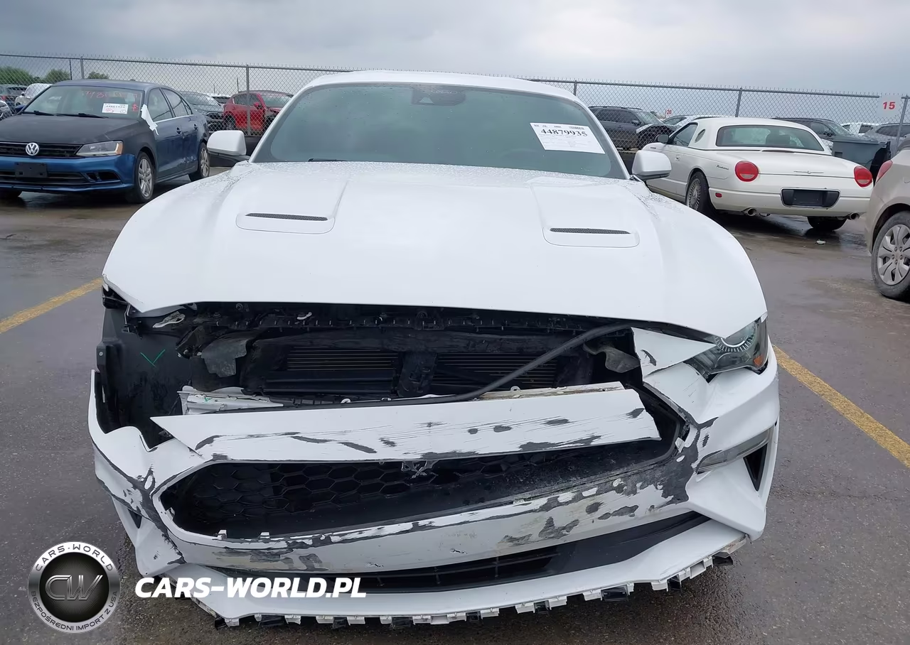 2021 Ford Mustang Ecoboost Fastback VIN:1FA6P8TH1M5137565 - 6