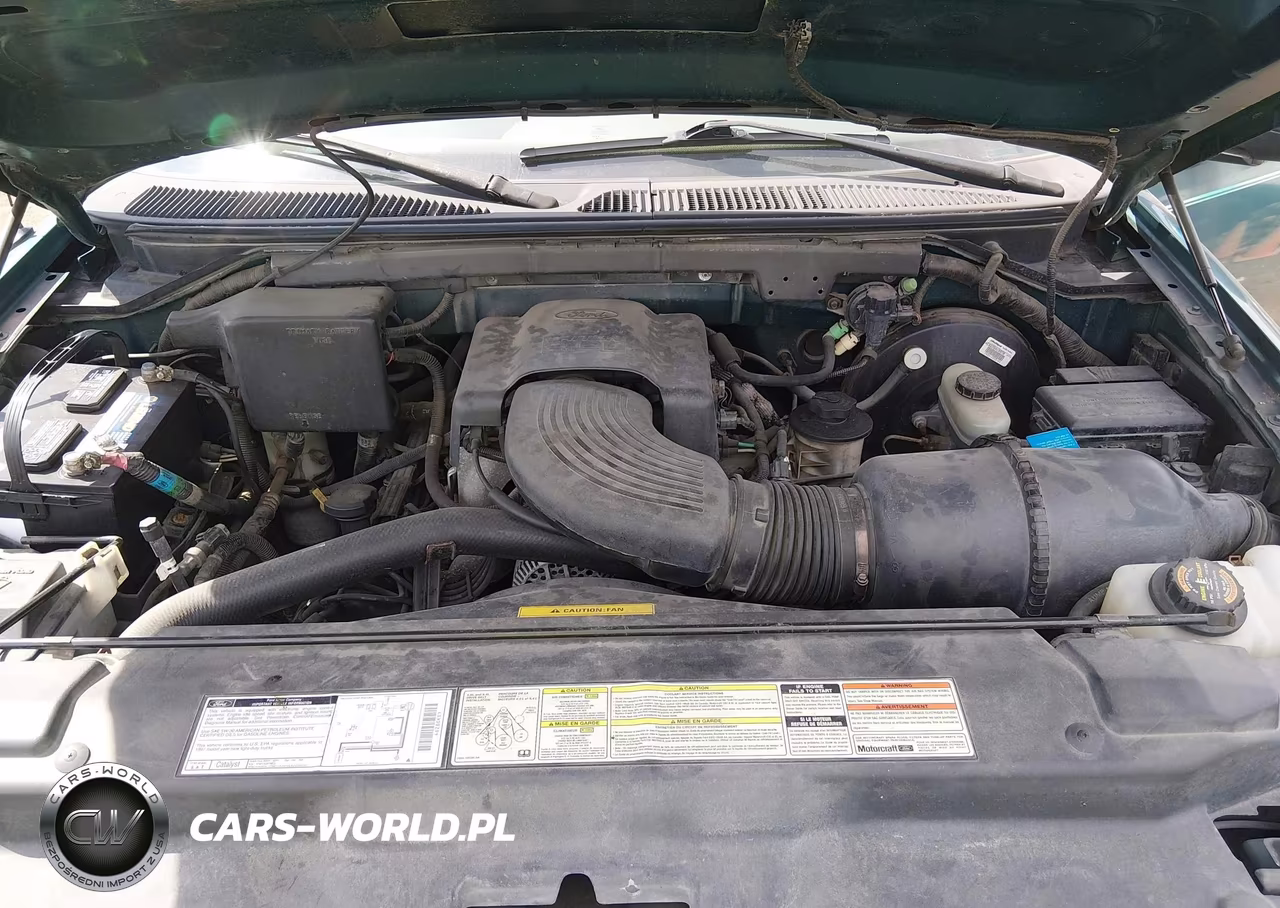 1997 Ford F-150 Lariat-Standard-Xl-Xlt VIN:1FTDX1764VNB32119 - 10