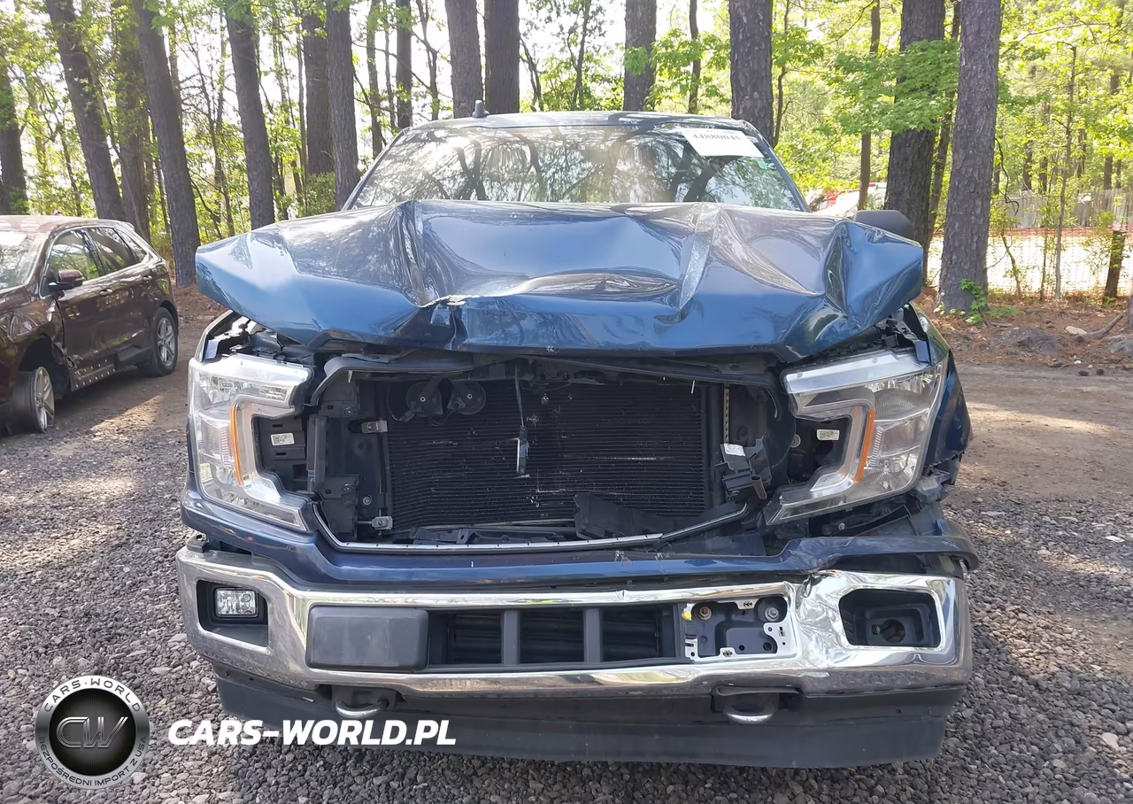 2019 Ford F-150 Xlt VIN:1FTEW1E42KFD29613 - 12