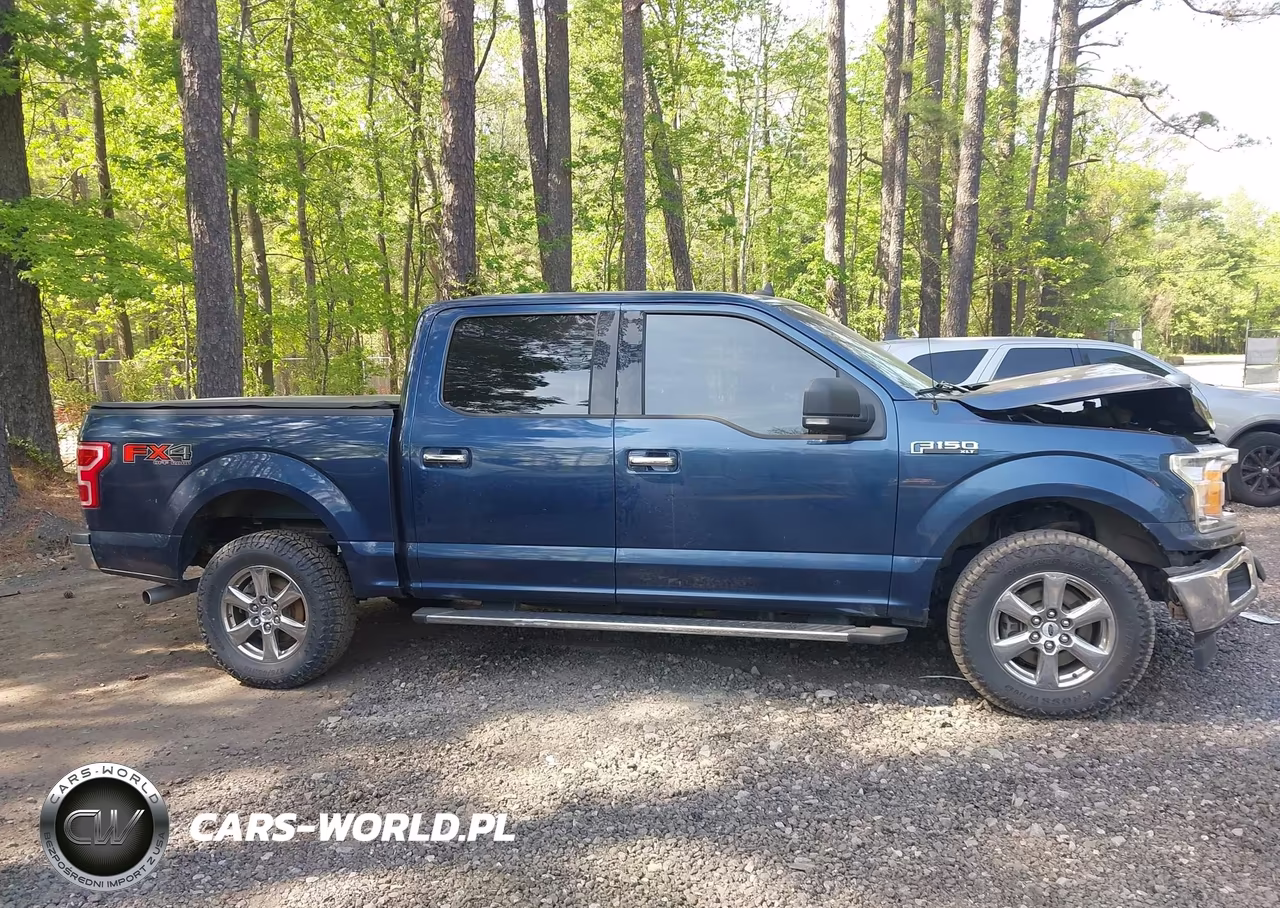2019 Ford F-150 Xlt VIN:1FTEW1E42KFD29613 - 13