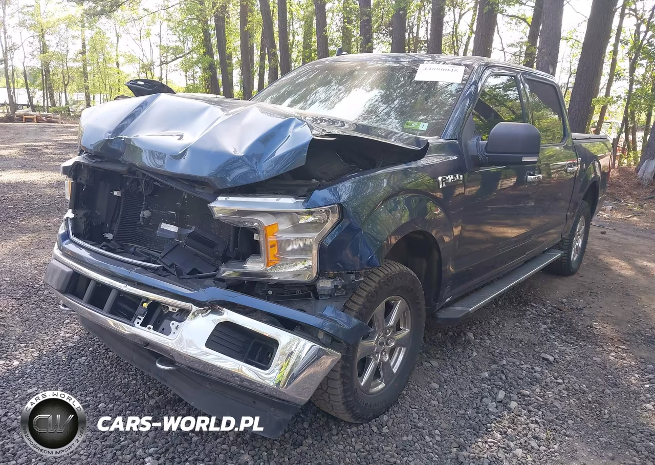 2019 Ford F-150 Xlt VIN:1FTEW1E42KFD29613 - 2