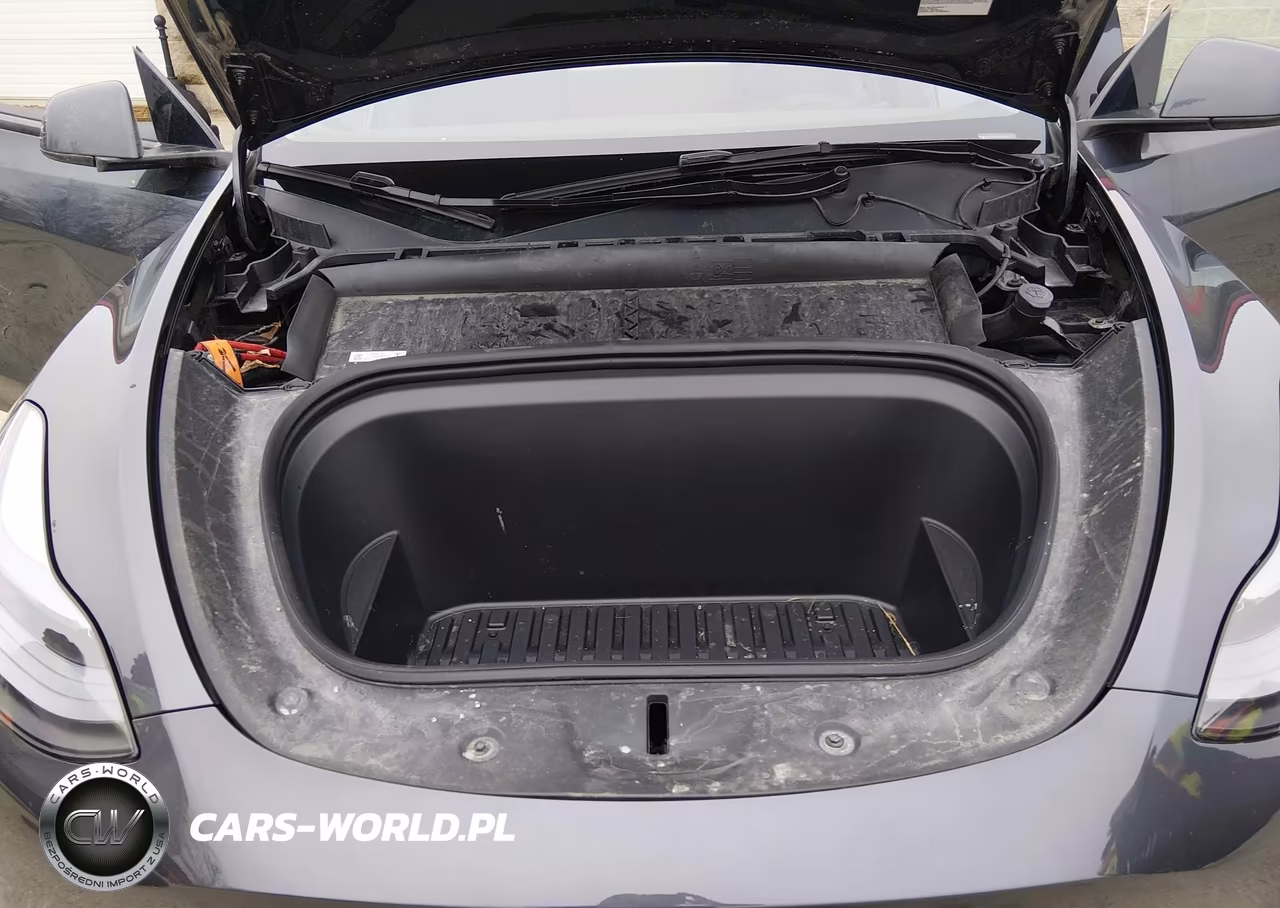 2025 Tesla Model Y Long Range Dual Motor All-Wheel Drive VIN:7SAYGDEE6SA338601 - 10
