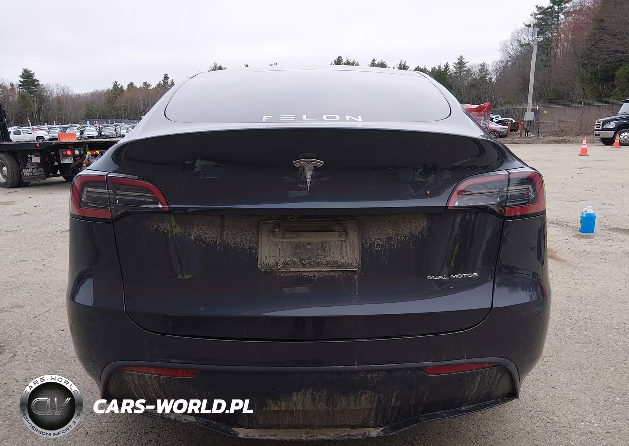 2025 Tesla Model Y Long Range Dual Motor All-Wheel Drive VIN:7SAYGDEE6SA338601 - 17
