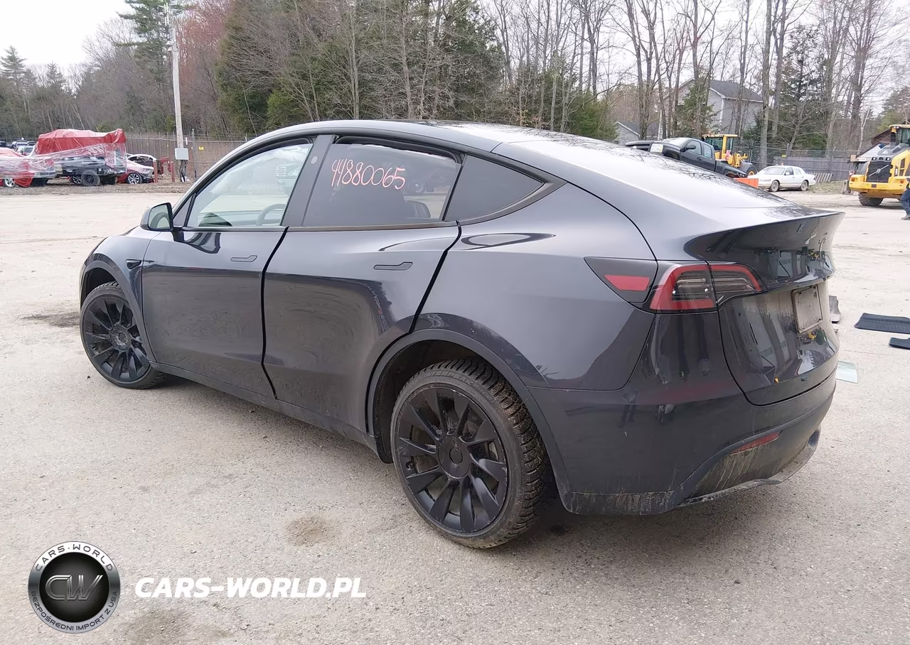 2025 Tesla Model Y Long Range Dual Motor All-Wheel Drive VIN:7SAYGDEE6SA338601 - 3