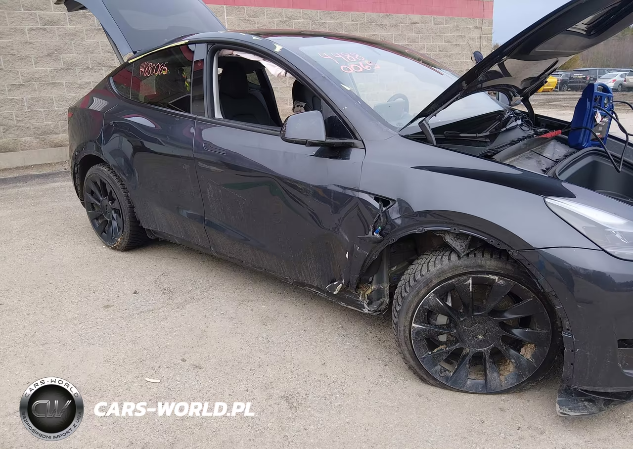 2025 Tesla Model Y Long Range Dual Motor All-Wheel Drive VIN:7SAYGDEE6SA338601 - 6