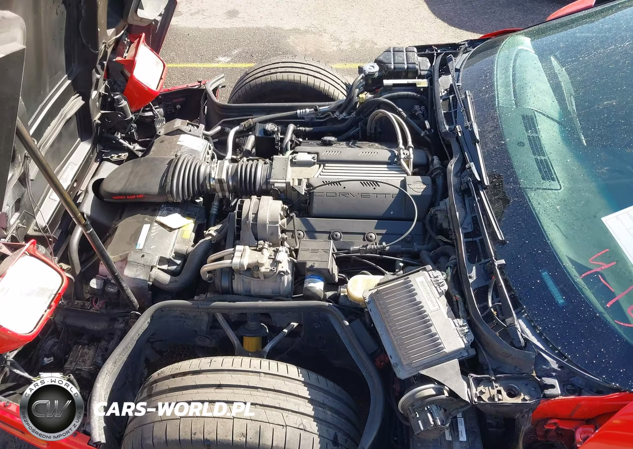 1994 Chevrolet Corvette VIN:1G1YY22P9R5106750 - 10