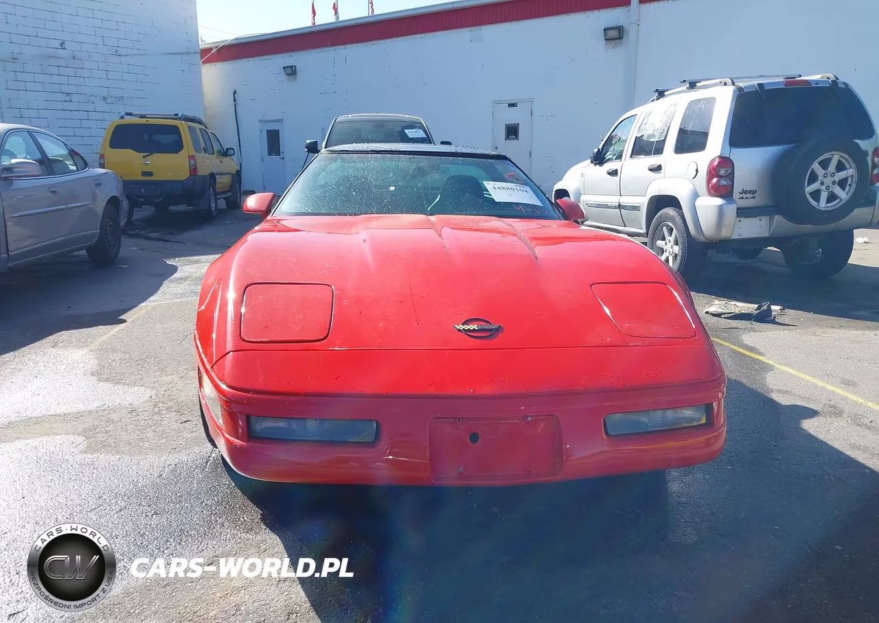 1994 Chevrolet Corvette VIN:1G1YY22P9R5106750 - 12