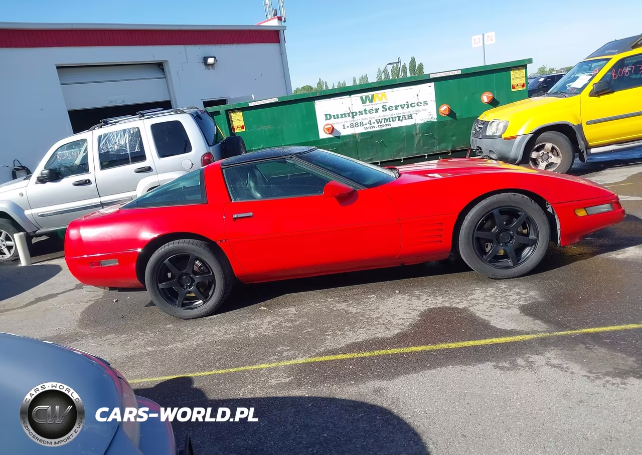 1994 Chevrolet Corvette VIN:1G1YY22P9R5106750 - 13