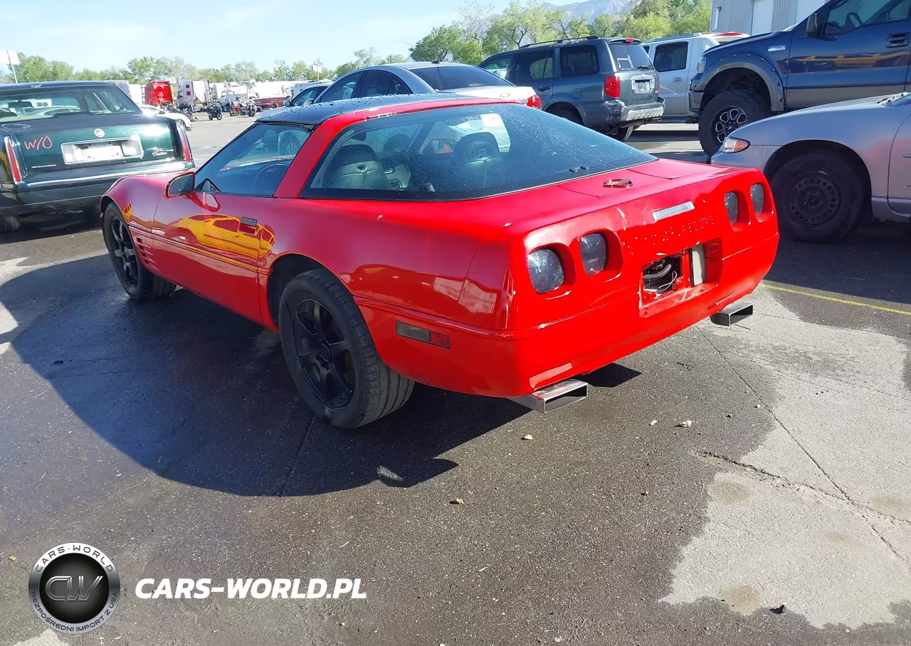 1994 Chevrolet Corvette VIN:1G1YY22P9R5106750 - 3
