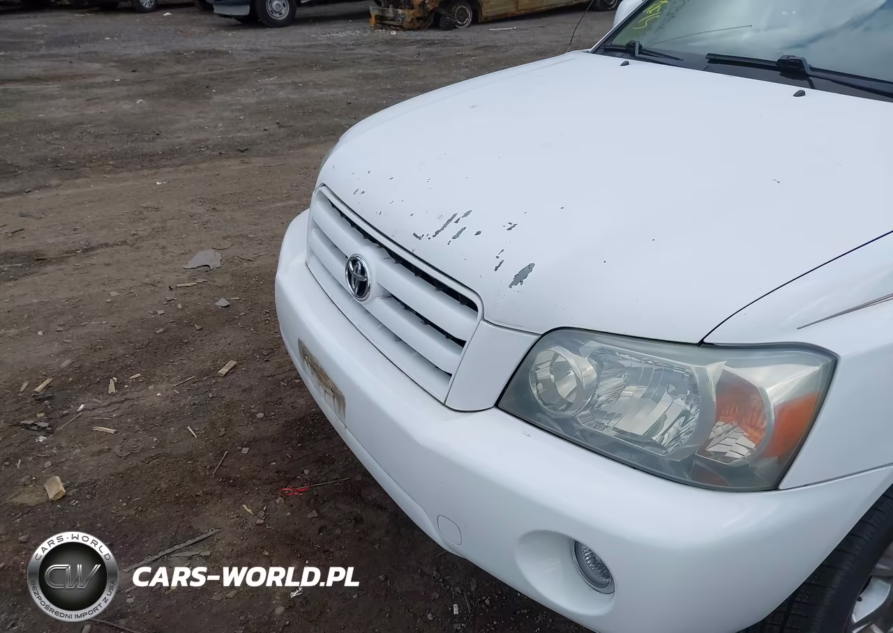 2004 Toyota Highlander V6 VIN:JTEDP21A340019238 - 6