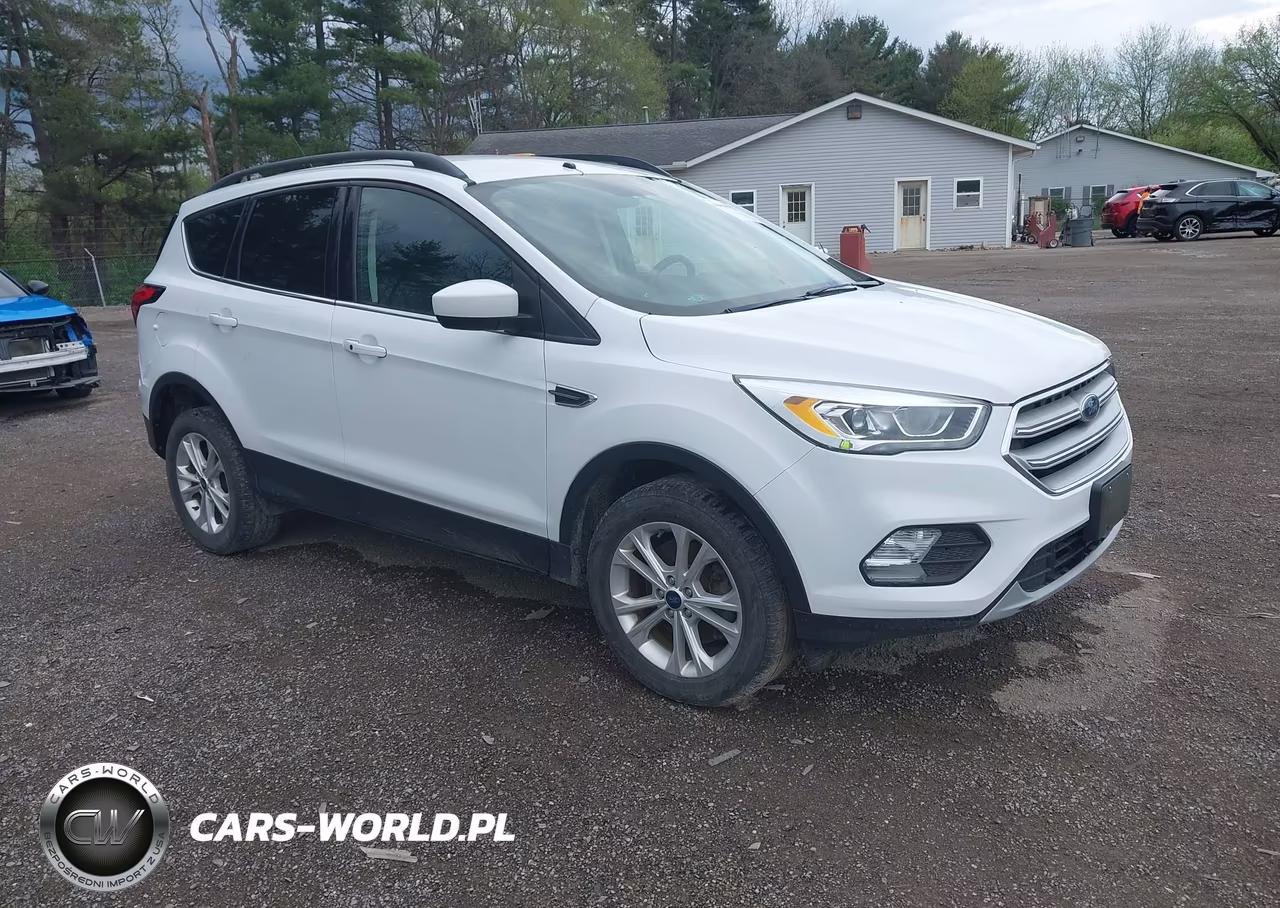 2019 Ford Escape Sel