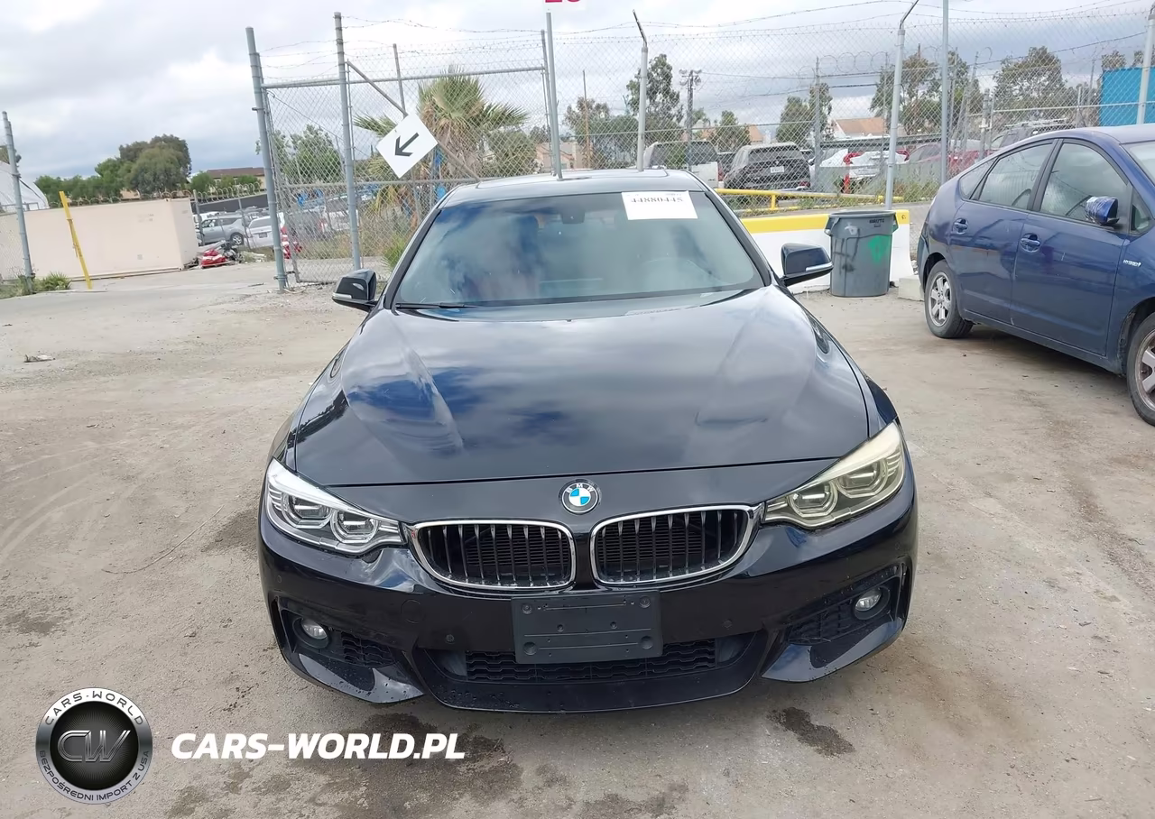 2016 BMW 428I Gran Coupe VIN:WBA4A9C57GG696431 - 11
