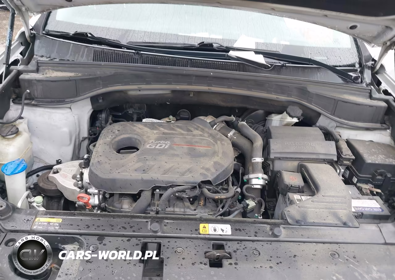 2017 Hyundai Santa Fe Sport 2.0T Ultimate VIN:5XYZW4LA3HG475973 - 10