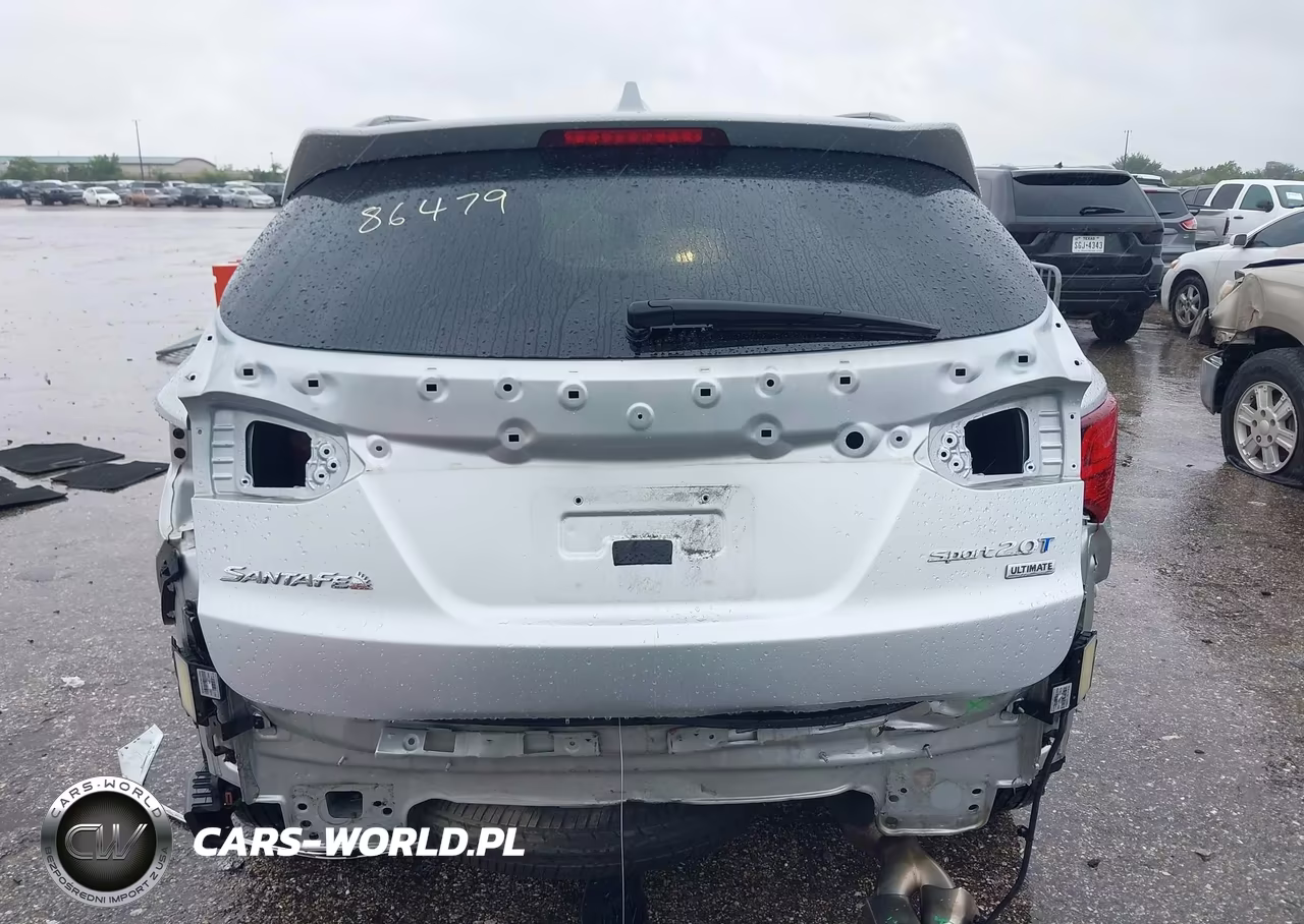 2017 Hyundai Santa Fe Sport 2.0T Ultimate VIN:5XYZW4LA3HG475973 - 16