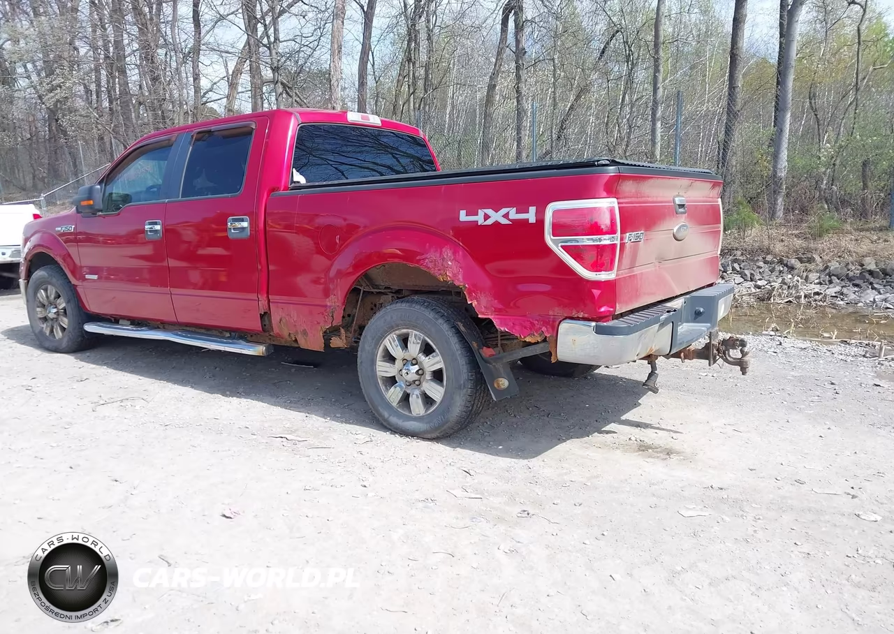 2011 Ford F-150 Xlt VIN:1FTFW1ET8BFA68127 - 3