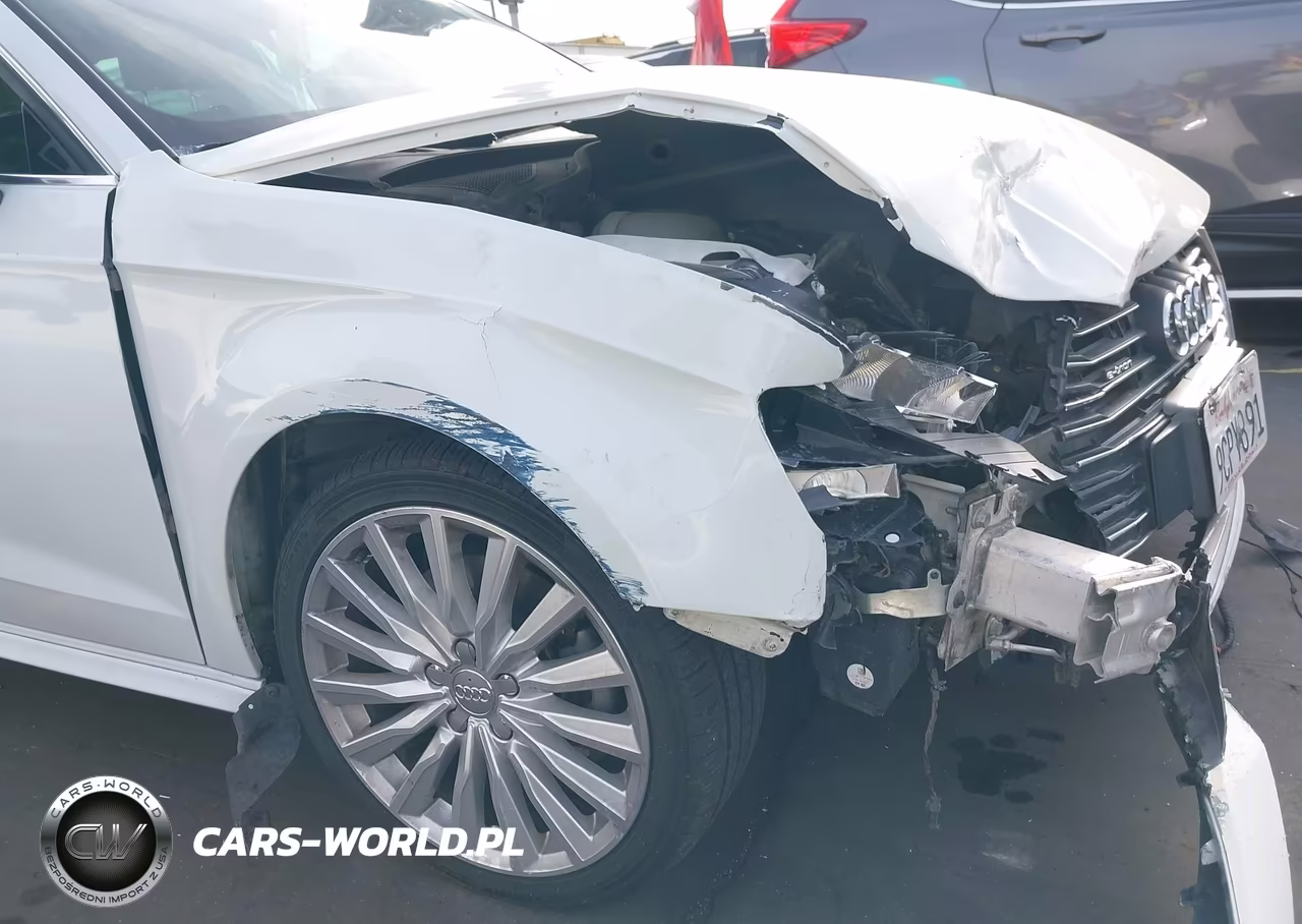 2017 Audi A3 E-Tron 1.4T Premium VIN:WAUTPBFF7HA146687 - 12