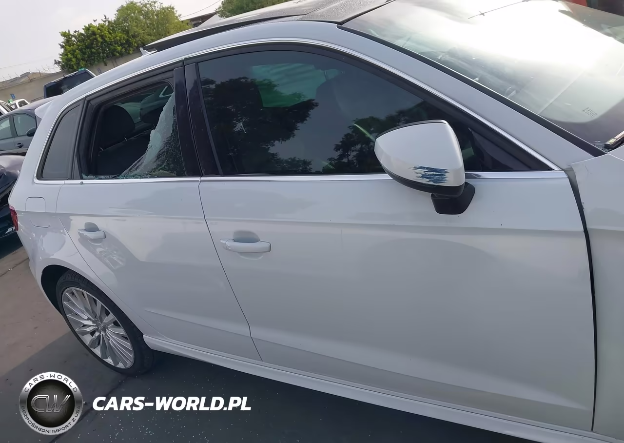 2017 Audi A3 E-Tron 1.4T Premium VIN:WAUTPBFF7HA146687 - 14