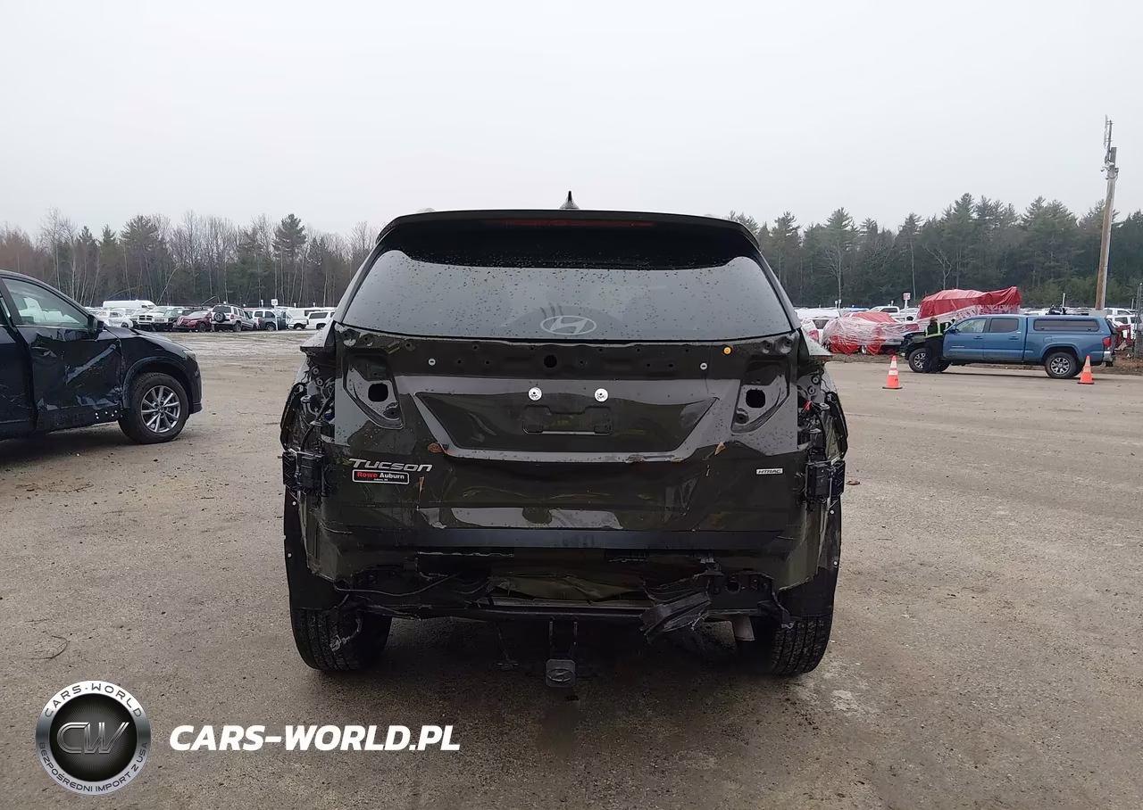 2025 Hyundai Tucson Sel VIN:5NMJBCDE9SH519797 - 6