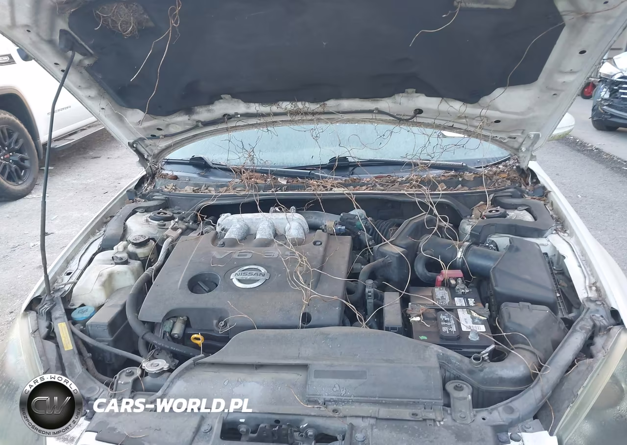 2005 Nissan Altima 3.5 Se VIN:1N4BL11D85C175146 - 10