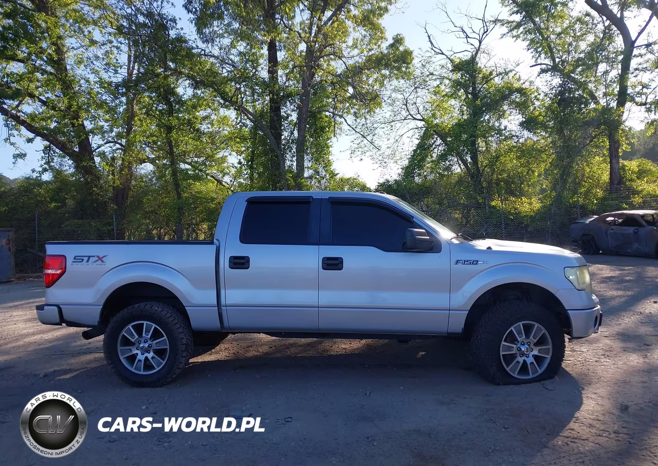 2014 Ford F-150 Stx VIN:1FTFW1EF3EFC61025 - 12